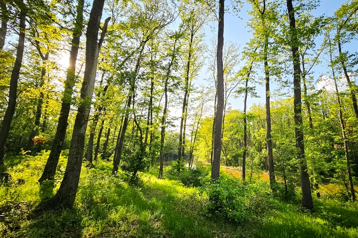 Centura Verde București-Ilfov devine, în sfârșit, realitate. Activistul Alex Găvan: „Decidenții politici au înțeles că acest proiect este despre sănătatea publică, în primul rând. Toți avem nevoie de aer curat”