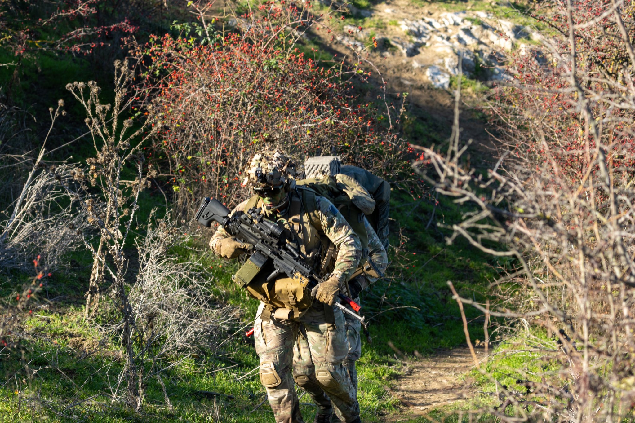 NATO simulează apărarea României în cadrul exercițiului Dacian Fall 2025. Militarii au executat astăzi mai multe manevre în poligonul Sântimbru