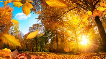 ANM: Prima zi a săptămânii viitoare te așteaptă maxime de până la 23 de grade Celsius. De marți, vremea se va răcit treptat în toată țara