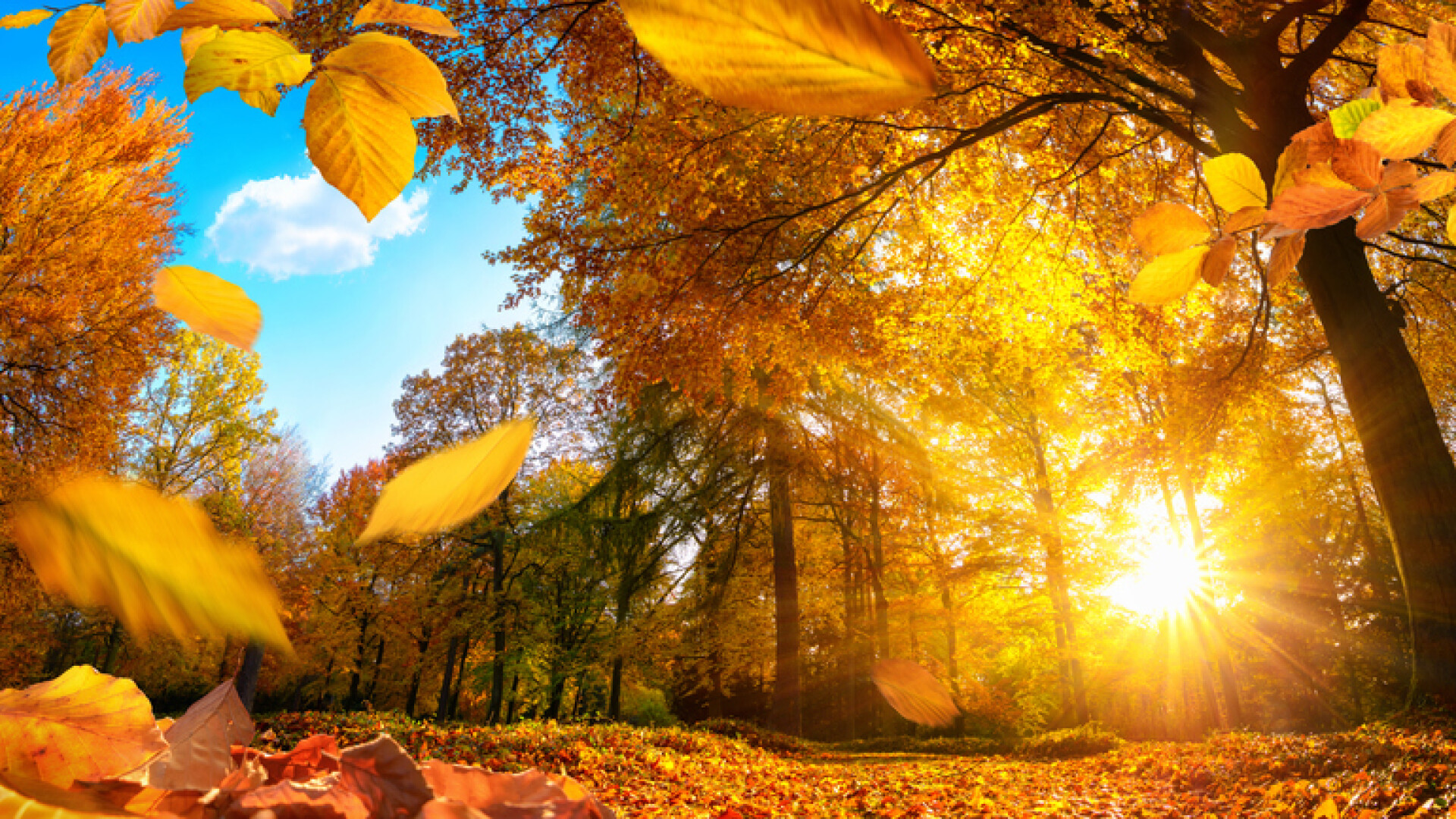 ANM: Prima zi a săptămânii viitoare te așteaptă maxime de până la 23 de grade Celsius. De marți, vremea se va răcit treptat în toată țara