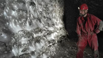 O echipă de cercetători, printre care și români, a descoperit cea mai mare pânză de păianjen înregistrată vreodată. Aceasta are 97 m² și adăpostește 111.000 de păianjeni