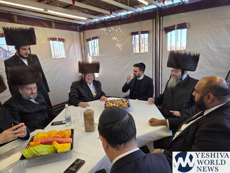 Mamdani? Nici un paradox!