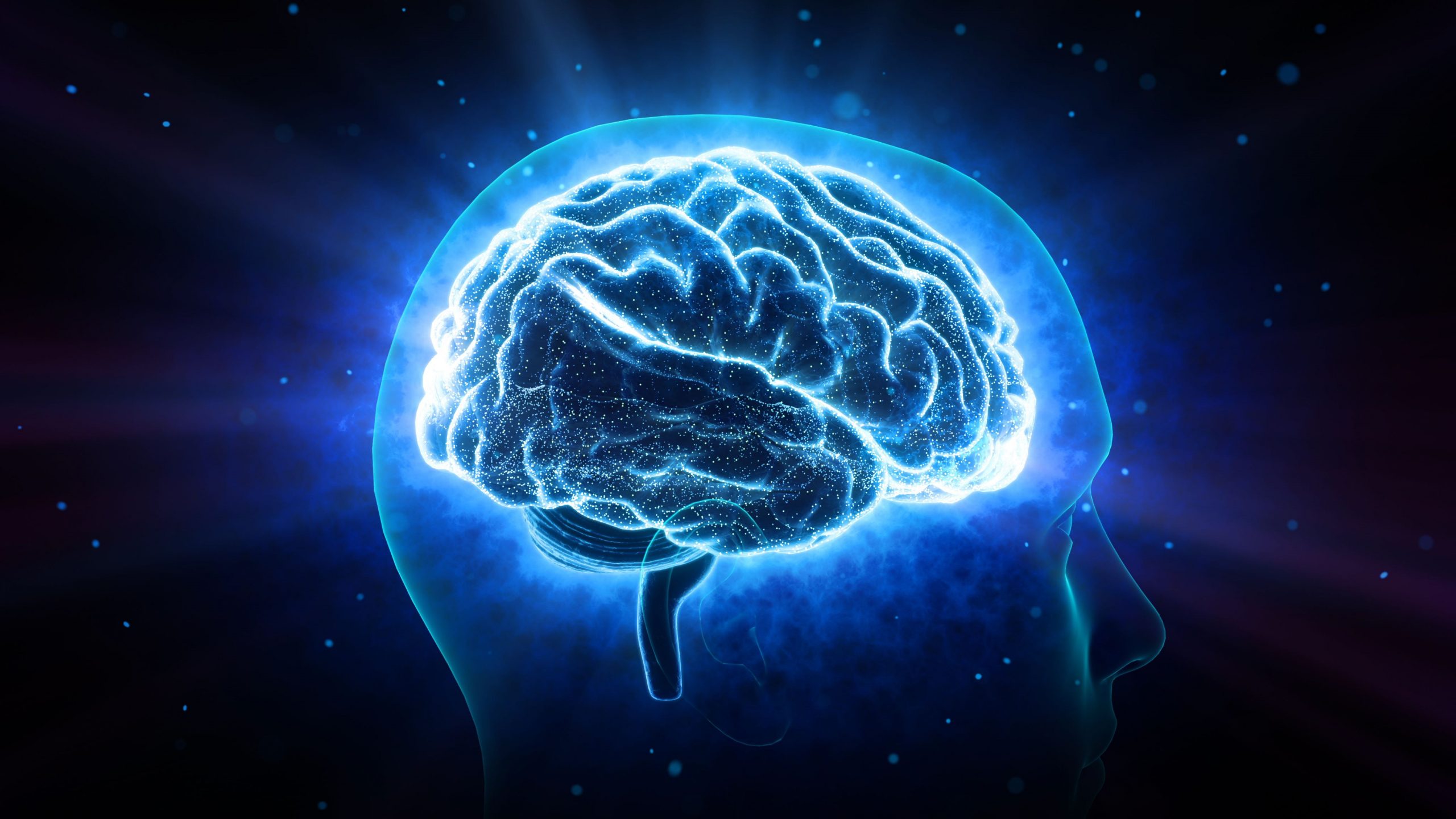 Aplicația BrainHQ ți-ar putea inversa procesul de îmbătrânire a creierului. Ce au descoperit experții