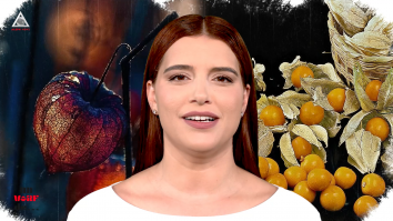 Un vârf de… Physalis