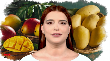 Un vârf de… Mango