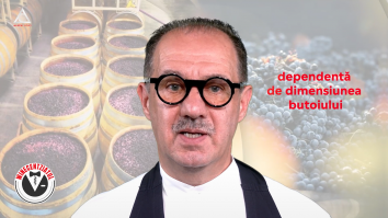Winecentziatul. Oxigenul în maturarea vinului 