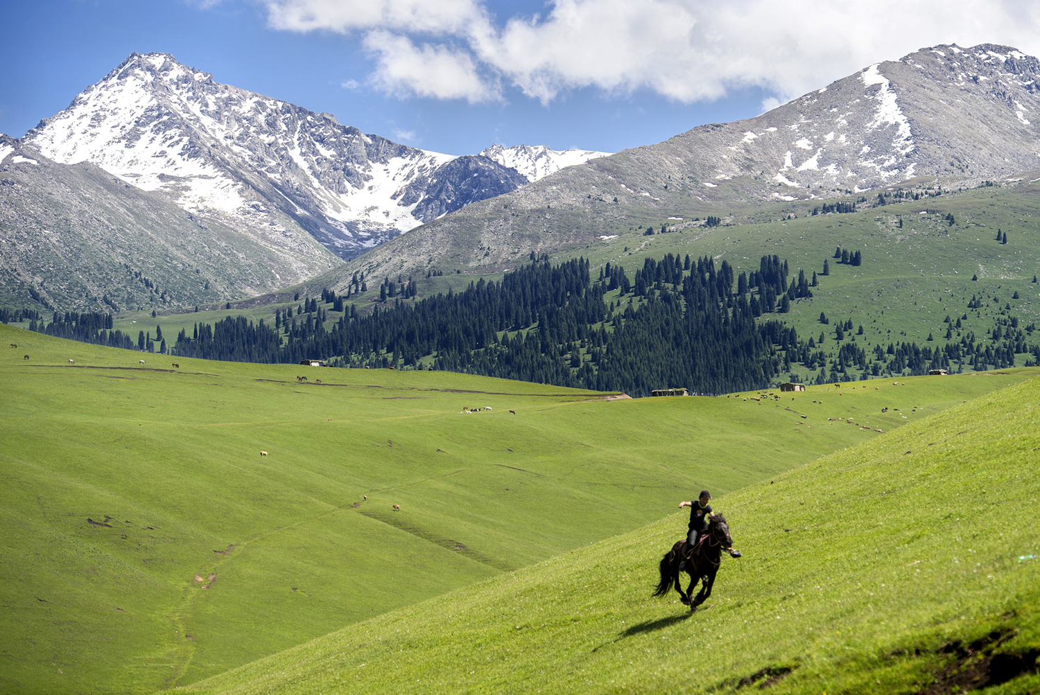 Regiunea Xinjiang din nord-vestul Chinei, care a atras aproximativ 300 de milioane de turiști într-un an, ascunde grave încălcări ale drepturilor omului. Beijingul neagă toate acuzațiile
