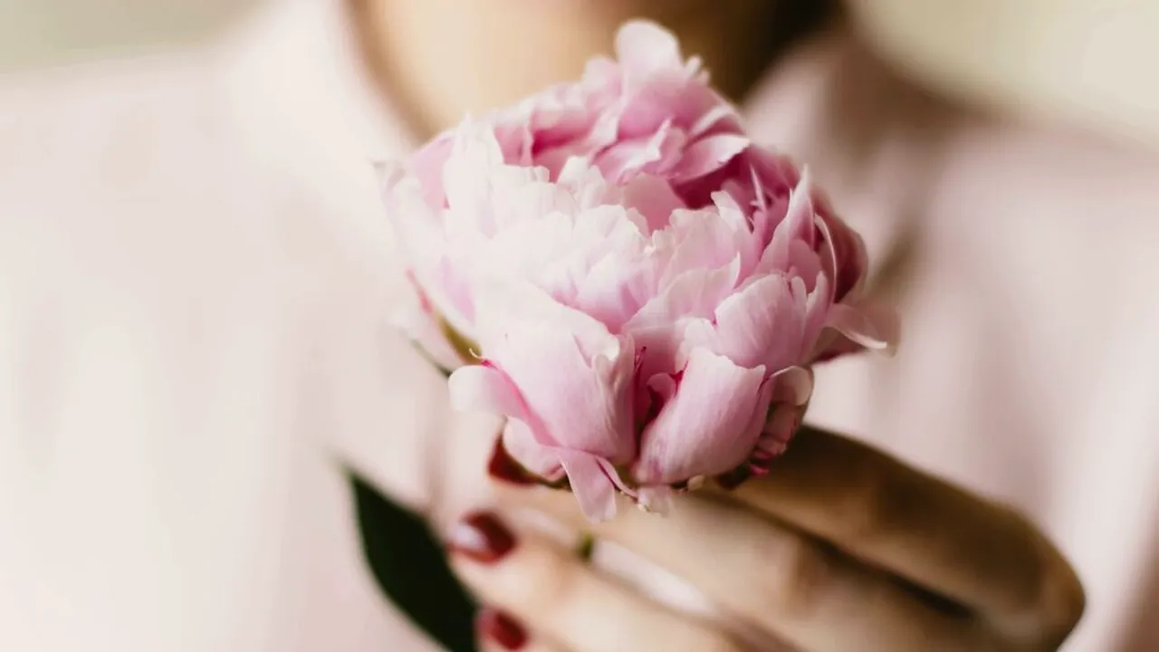 World Vision România cere schimbarea definiției cuvântului „femeie” din DEX