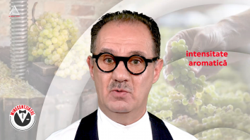 Winecentziatul. Opțiuni privind vinificarea vinurilor albe