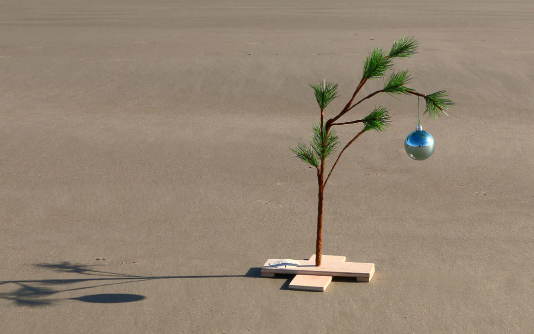 Brazii subțiri și strâmbi domină Crăciunul 2025 în Statele Unit