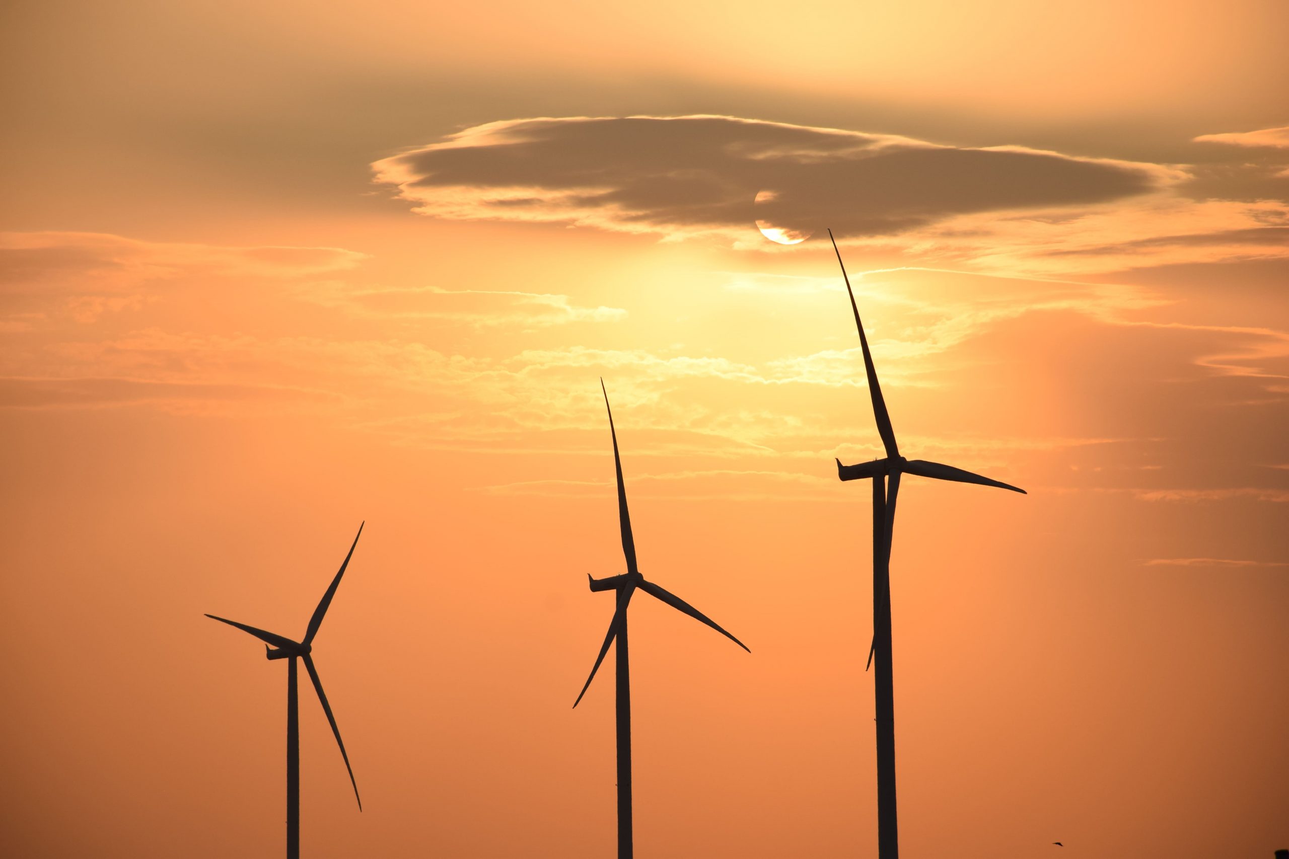 Giga-portofoliile de energie verde: Care sunt greii care au în dezvoltare proiecte de energie regenerabilă de peste 1 GW? La linia de start sunt multe grupuri mari