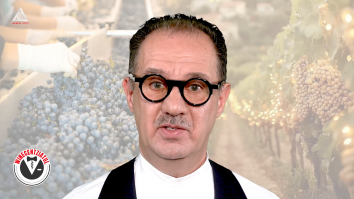 Winecentziatul. Procesarea strugurilor