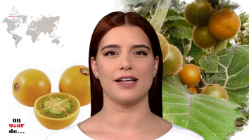 Un vârf de…Lulo 