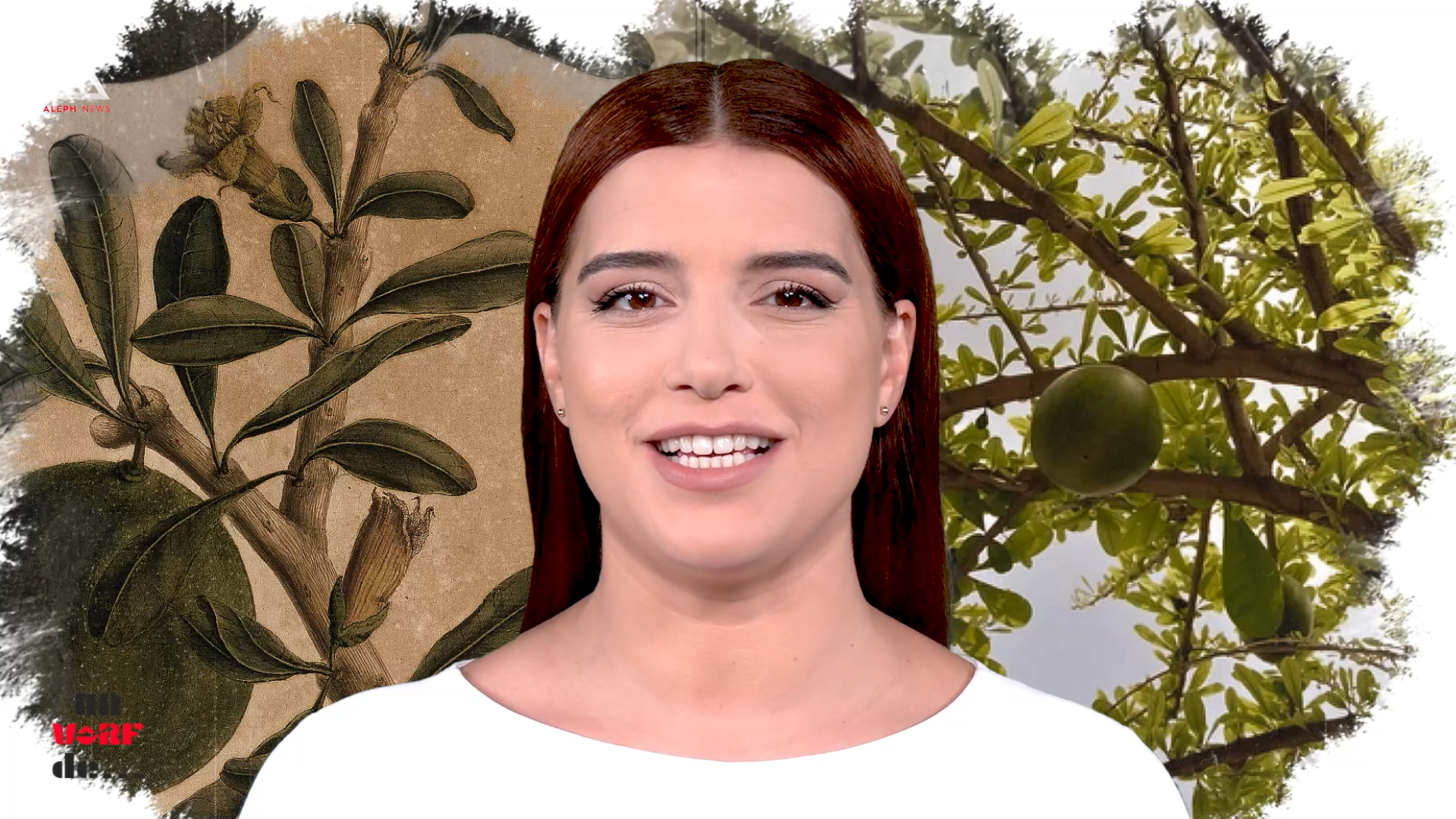 Un varf de… Totumo