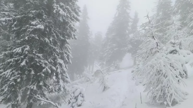 ANM anunță temperaturi deosebit de reci în toată țara. Minimele vor atinge până la -15 grade Celsius