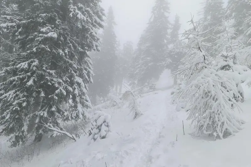 ANM anunță temperaturi deosebit de reci în toată țara. Minimele vor atinge până la -15 grade Celsius