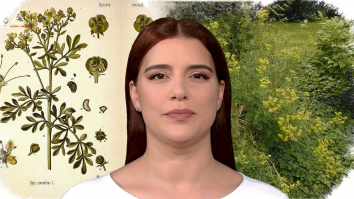 Un vârf de…Rudă
