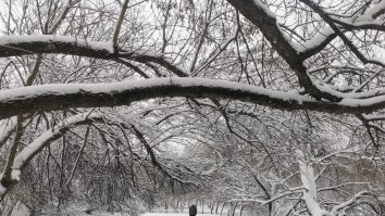 ANM anunță ninsori puternice în Capitală. Stratul de zăpadă va ajunge până la 15 centimetri în București