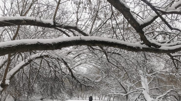 ANM anunță ninsori puternice în Capitală. Stratul de zăpadă va ajunge până la 15 centimetri în București