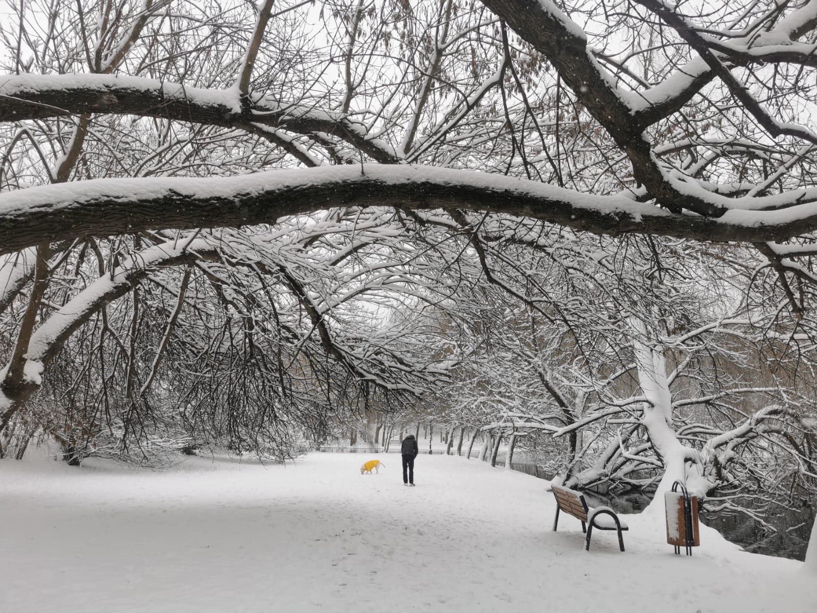 ANM anunță ninsori puternice în Capitală. Stratul de zăpadă va ajunge până la 15 centimetri în București