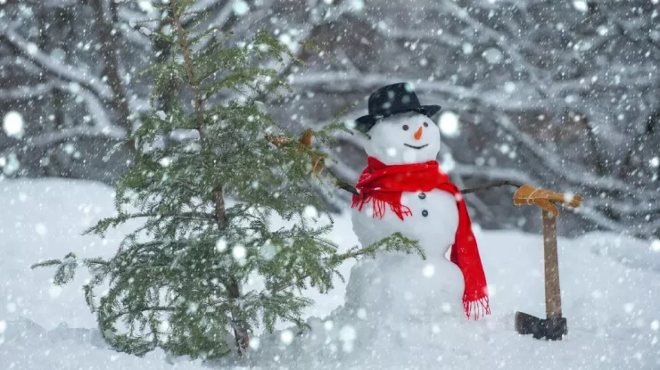 Jumătate din România intră sub cod galben de ninsori. Ministerul Educației a suspendat cursurile în prima zi de școală în 10 județe. Zăpada a lăsat fără curent peste 40.000 de gospodării