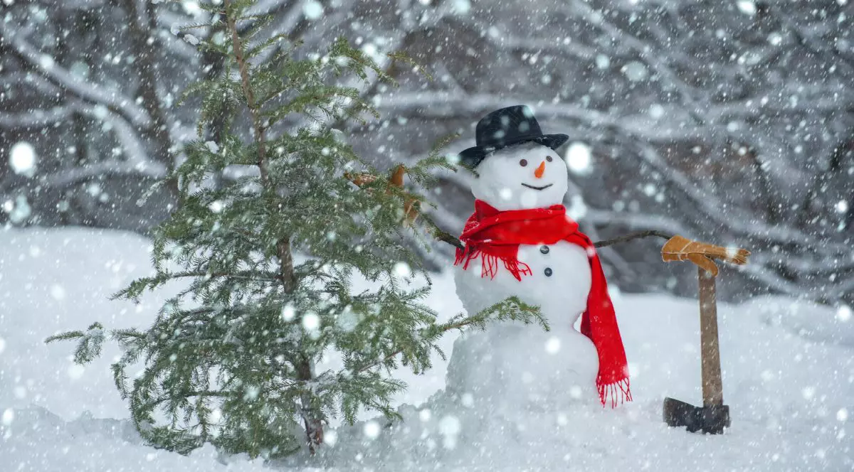 Jumătate din România intră sub cod galben de ninsori. Ministerul Educației a suspendat cursurile în prima zi de școală în 10 județe. Zăpada a lăsat fără curent peste 40.000 de gospodării