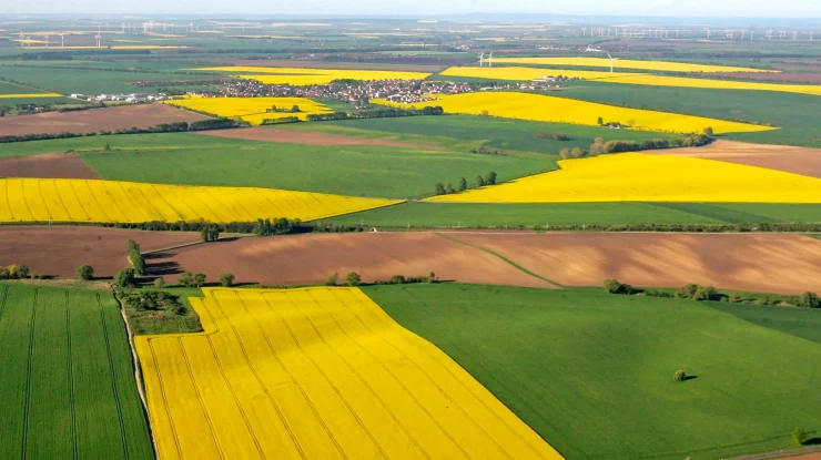 Fermierii români au ajuns mai bogați decât cei din Franța. Cum s-a produs acest paradox economic