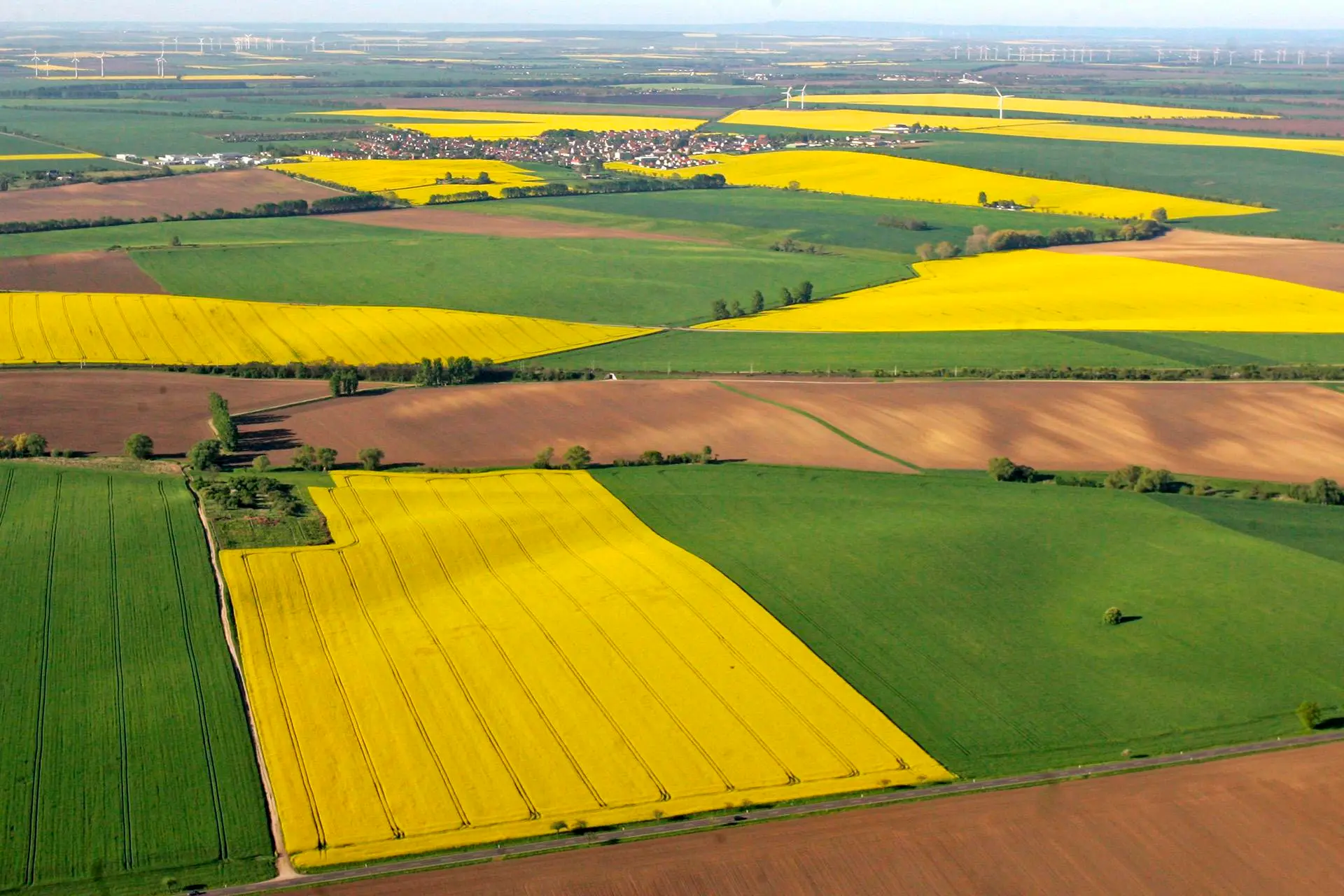 Fermierii români au ajuns mai bogați decât cei din Franța. Cum s-a produs acest paradox economic