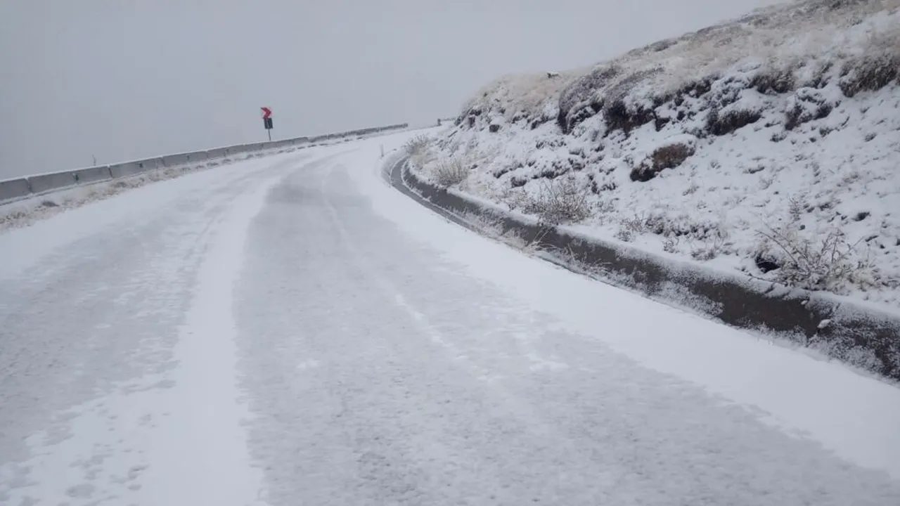 Traficul rutier se desfășoară în condiții de iarnă pe A1 și în mai multe județe. Ninsoarea afectează circulația