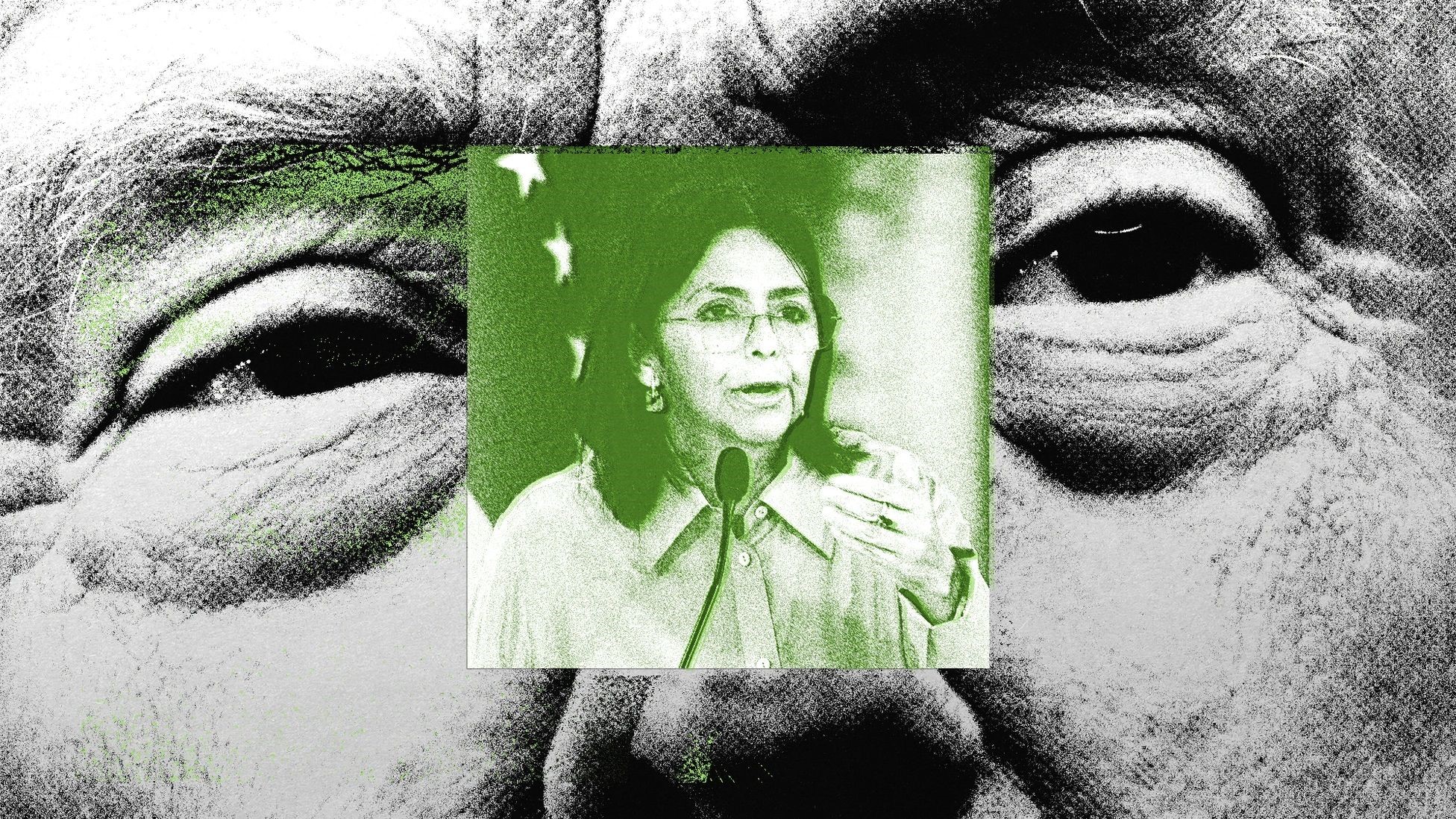 Trump: „Delcy Rodríguez, vicepreședinta Venezuelei, trebuie să se conformeze dorințelor SUA.” Care este următoarea țintă a Statelor Unite după Venezuela