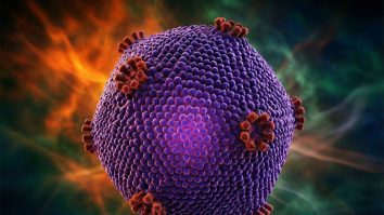 Un nou virus ADN gigant descoperit în Japonia, „Ushikuvirus”, îi pune pe gânduri pe cercetători. Originea vieții ar putea fi direct legată de acesta