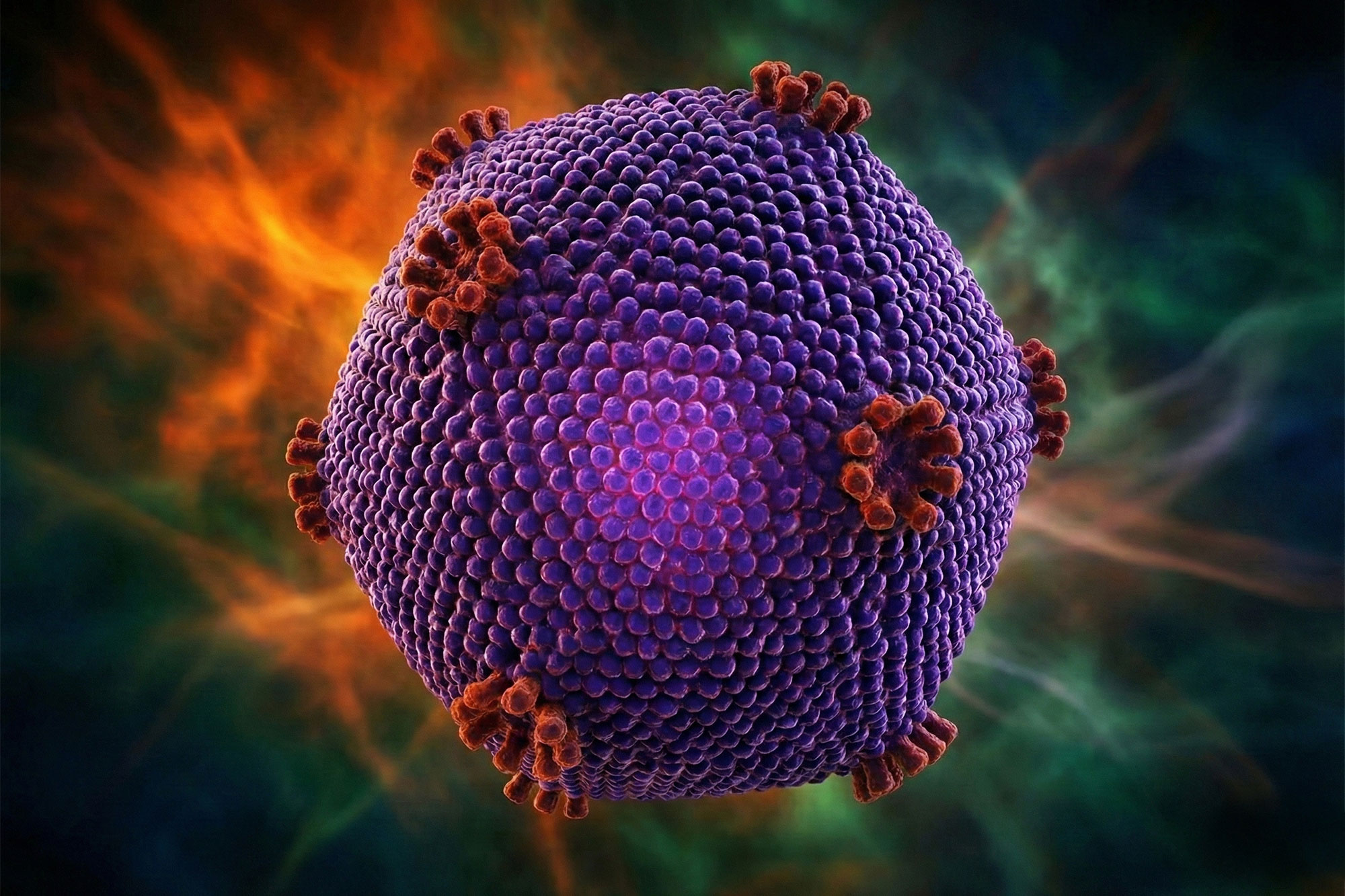 Un nou virus ADN gigant descoperit în Japonia, „Ushikuvirus”, îi pune pe gânduri pe cercetători. Originea vieții ar putea fi direct legată de acesta