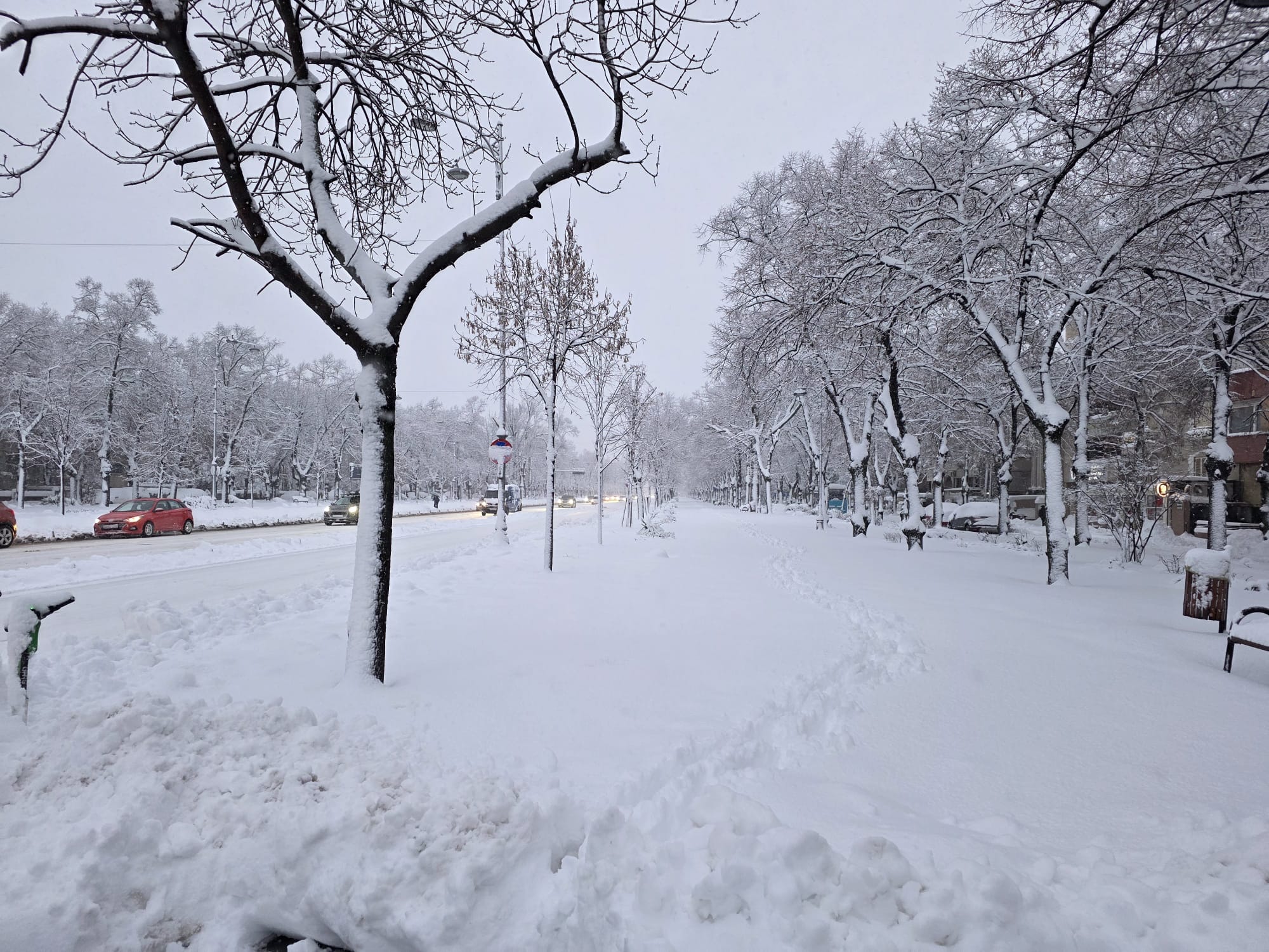 Cod roșu de ninsoare în București și Ilfov: Departamentul pentru Situații de Urgență a emis, miercuri dimineață, un mesaj RO-ALERT