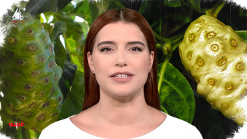 Un vârf de… Noni
