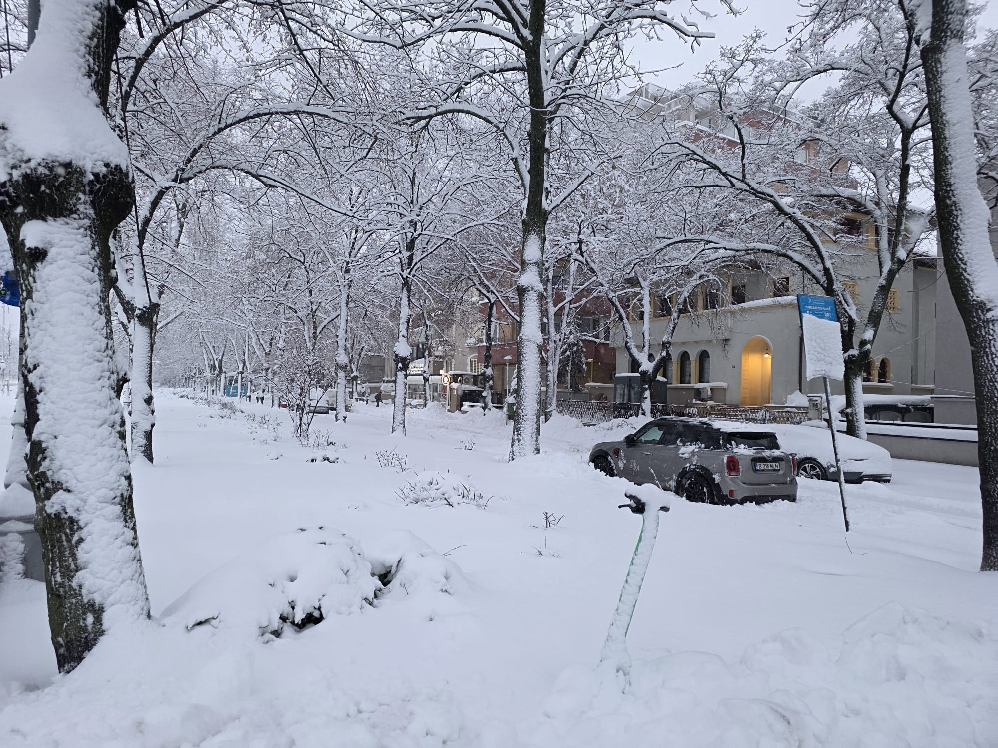 ANM emite Cod portocaliu și Cod galben de ninsori și viscol în 25 de județe și în București: stratul de zăpadă va depăși 50 cm. Tronsoane de pe A1, A3, A7 și A0 sunt închise