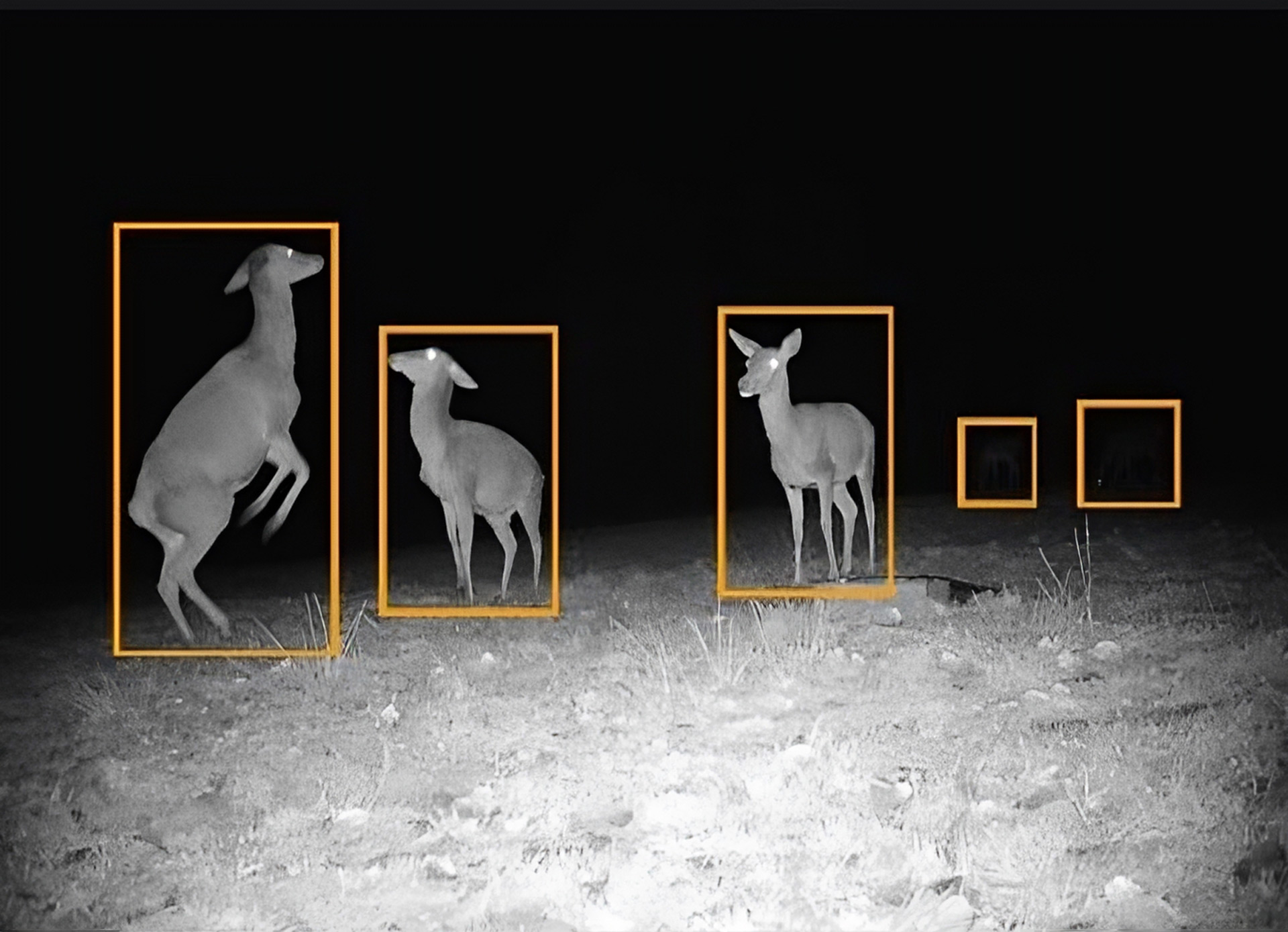 Cercetători spanioli au dezvoltat un sistem de vedere artificială inspirat din animale. Tehnologia „event-based” promite reacții mai rapide și consum redus de energie pentru roboți și drone