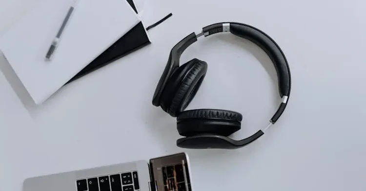 STUDIU. Căștile audio conțin substanțe dăunătoare care pot ajunge în organism. 81 de modele testate au compuși periculoși, asociați cu probleme de fertilitate și boli cardiovasculare