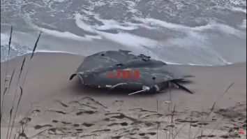 Resturi de dronă au fost descoperite pe o plaja din zona Tuzla, anunță Garda de Coastă