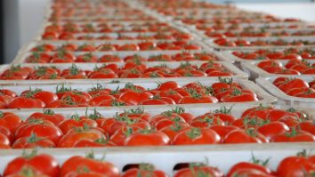 Românii mănâncă roșii din Maroc, deși Eurostat indică importuri zero. Cum ocolesc lanțurile de aprovizionare statisticile europene