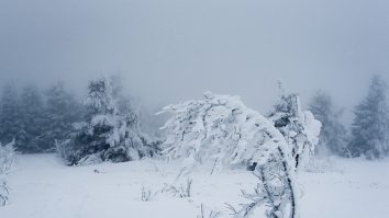 Meteorologii avertizează că până miercuri, întreaga țară va fi afectată de ninsori, viscol și temperaturi foarte scăzute. Mai multe județe se află sub Cod galben de ger și viscol