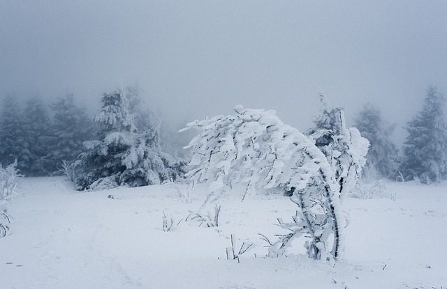 Meteorologii avertizează că până miercuri, întreaga țară va fi afectată de ninsori, viscol și temperaturi foarte scăzute. Mai multe județe se află sub Cod galben de ger și viscol