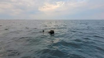 658899607 1431412265690560 5010316297970414676 n