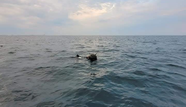 658899607 1431412265690560 5010316297970414676 n