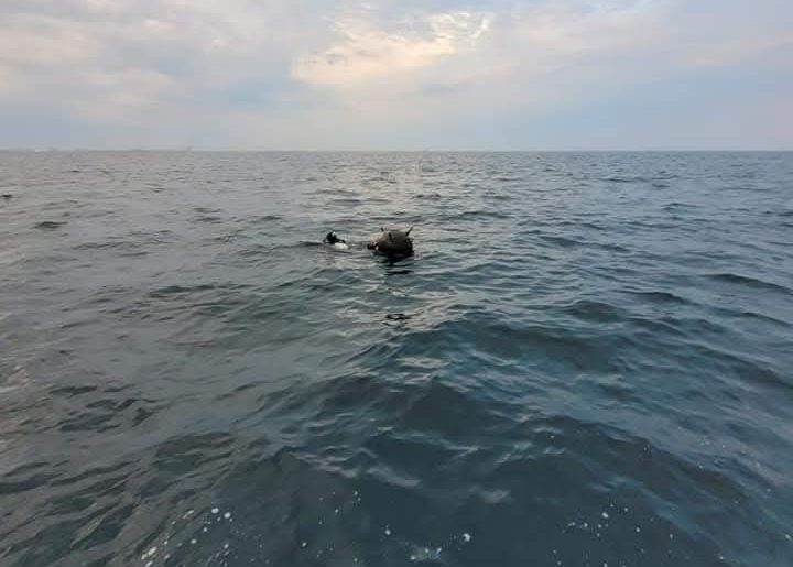 MApN, după ce Ambasada Rusiei a spus că minele marine din Marea Neagră au exclusiv origine ucraineană: „Sunt doar manifestări ale intenției Federației Ruse de a distorsiona realitatea”