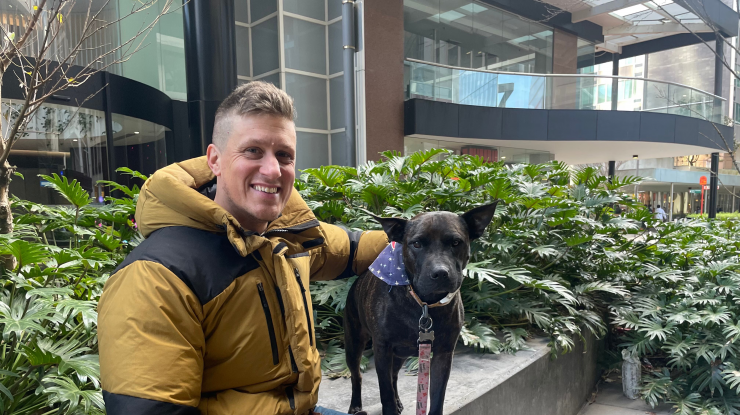 A.I. a ajutat la tratarea unui câine bolnav de cancer. Un antreprenor din Australia a folosit ChatGPT și analize genetice pentru a crea un vaccin personalizat