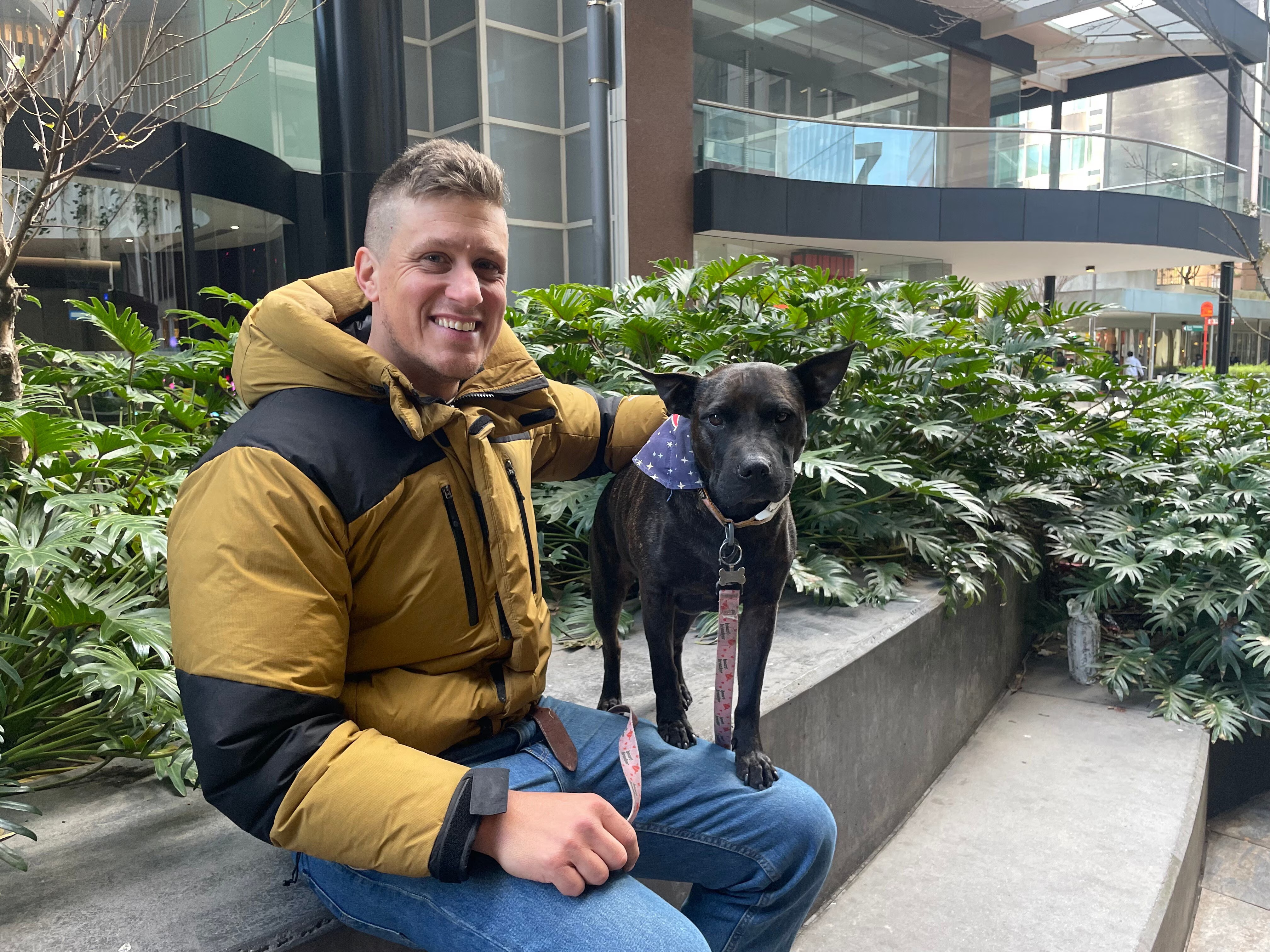 A.I. a ajutat la tratarea unui câine bolnav de cancer. Un antreprenor din Australia a folosit ChatGPT și analize genetice pentru a crea un vaccin personalizat