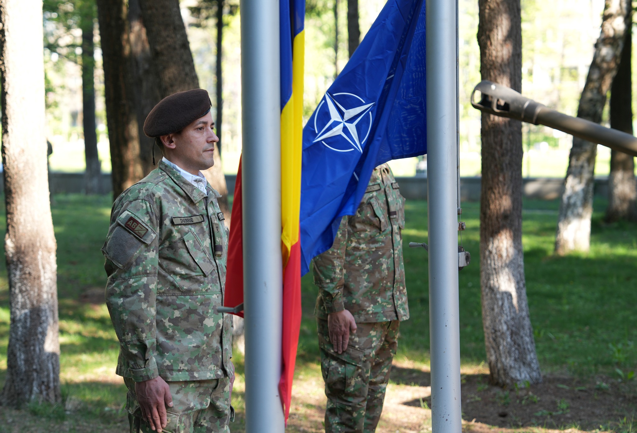 România este de 22 de ani în NATO. Cât de unită mai este Alianța şi cât de puternică este Armata României