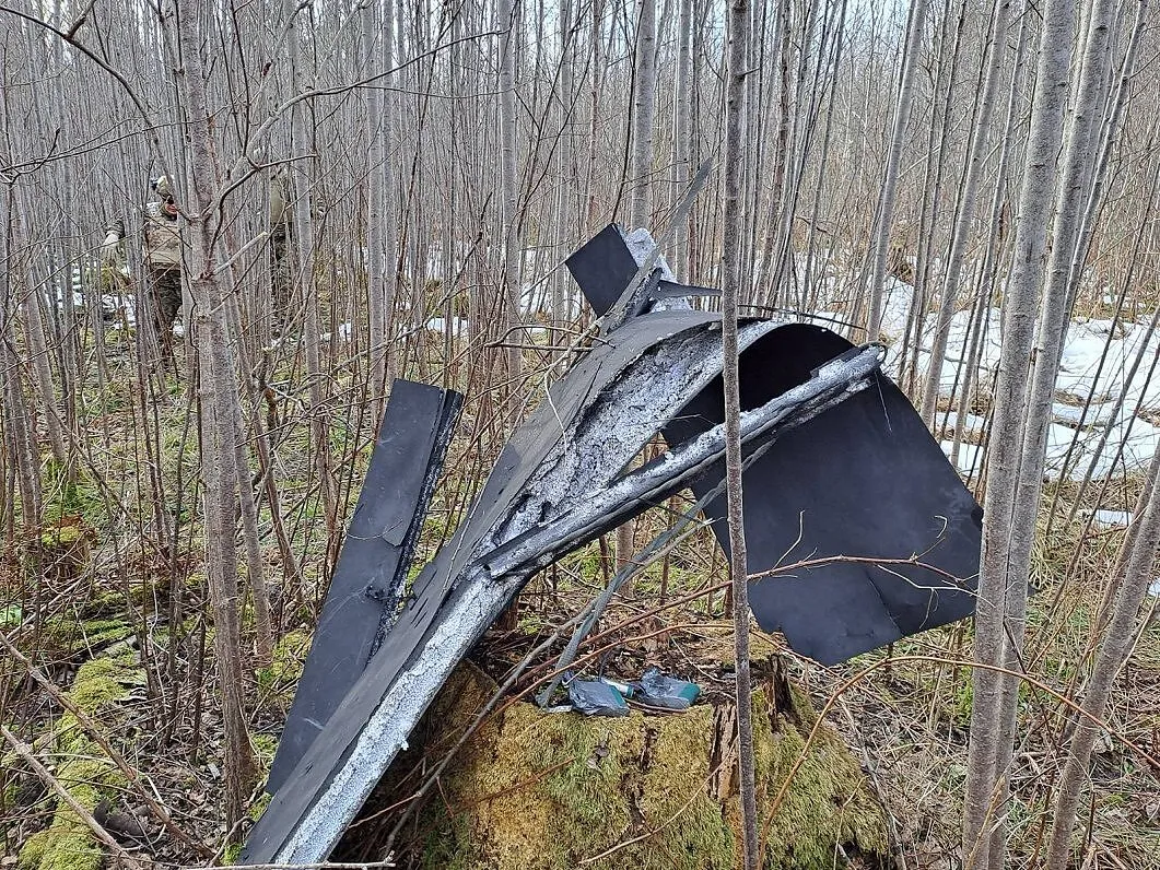 Letonia, Estonia și Lituania cer întărirea apărării NATO după ce mai multe drone rusești și ucrainene s-au prăbușit pe teritoriul lor