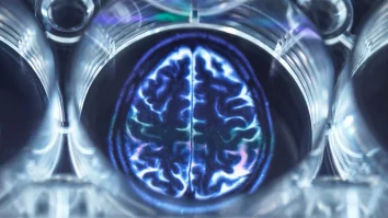 Cercetătorii de la University of California au creat un mini-creier artificial din celule stem de șoarece. Creierul artificial poate rezolva probleme de inginerie