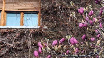 660534528 969533675751402 5824224593268312242 n